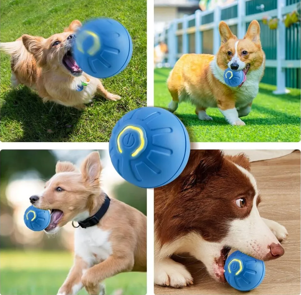 Pelota Inteligente para Mascotas