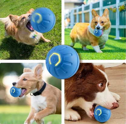 Pelota Inteligente para Mascotas